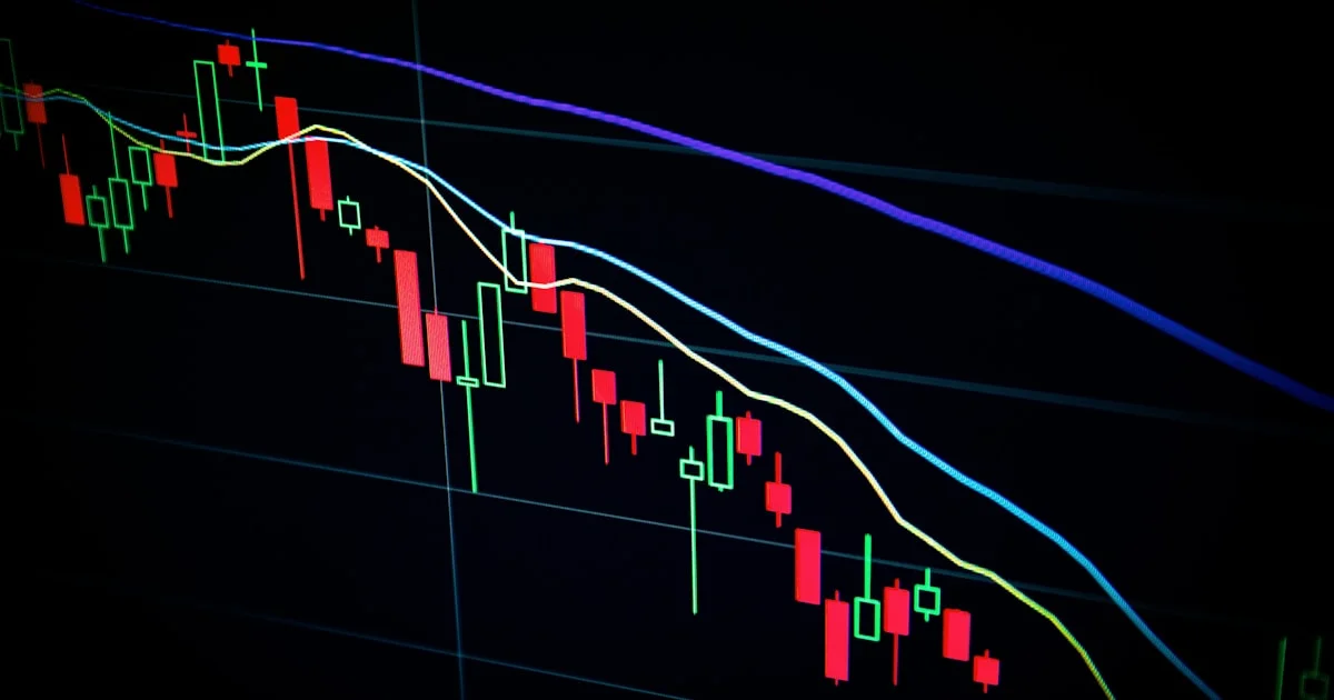 Best Dividend Stocks for Beginners: A Complete Guide