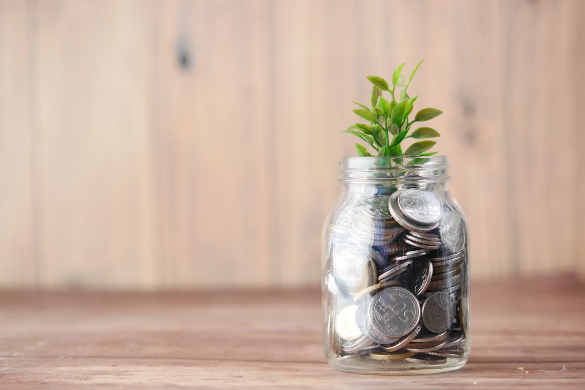 Dividend Stocks Explained: A Complete Guide for Income Investors